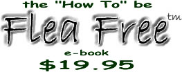 How To e-book $19.95