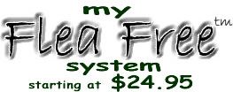 my Flea Free system - $19.95