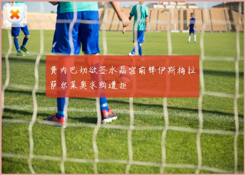 费内巴切欲签水晶宫前锋伊斯梅拉萨尔莱奥求购遭拒
