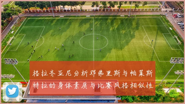 格拉齐亚尼分析邓弗里斯与帕莱斯特拉的身体素质与比赛风格相似性
